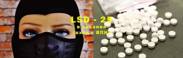 гидропоника Горняк