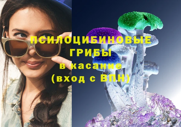 гидропоника Горняк