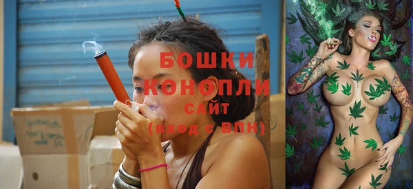 гидропоника Горняк